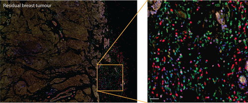 Details are in the caption following the image Details are in the caption following the image