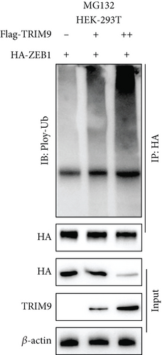 Details are in the caption following the image