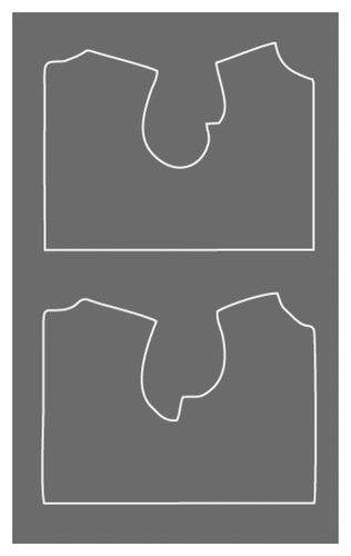 Details are in the caption following the image