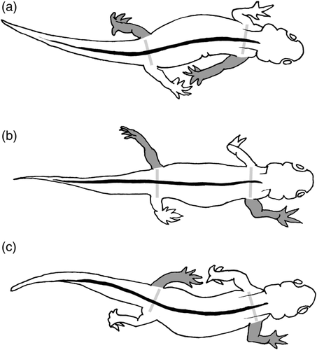 Details are in the caption following the image