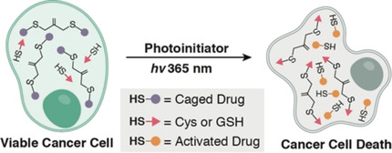 Radical-Mediated Thiol-Ene Strategy: Photoactivation of Thiol-Containing Drugs in Cancer Cells