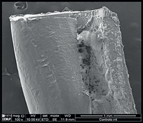 Details are in the caption following the image