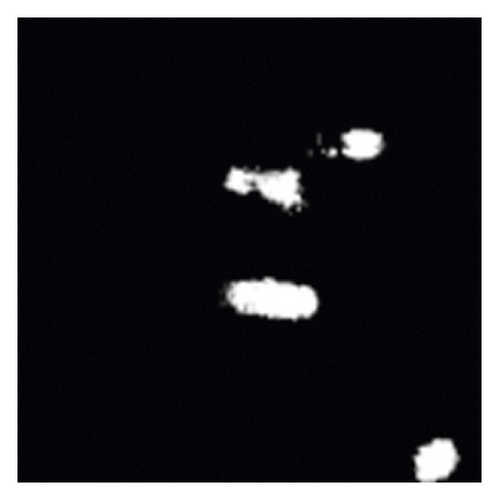 Details are in the caption following the image