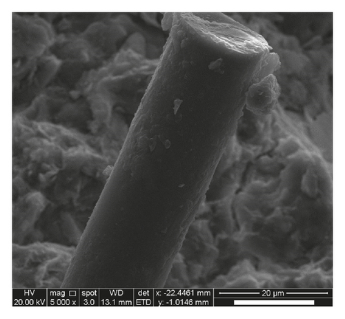 Details are in the caption following the image
