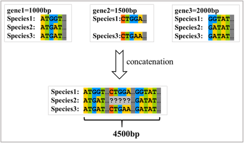 Details are in the caption following the image Details are in the caption following the image