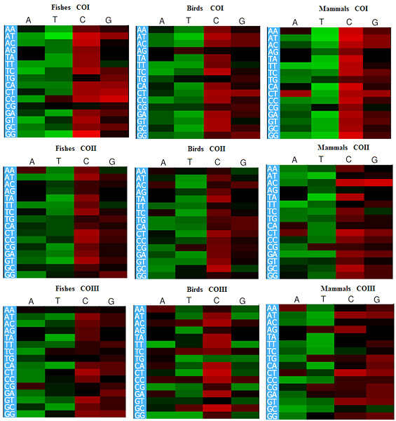 Understanding molecular biology of codon usage in mitochondrial complex IV genes of electron transport system: Relevance to mitochondrial diseases