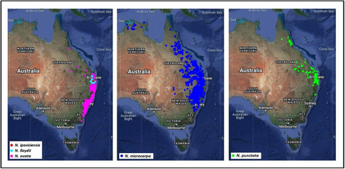 Details are in the caption following the image Details are in the caption following the image