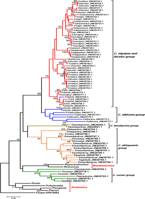 Phylogenetic relationships between the slave-making ants Rossomyrmex and their Proformica hosts in relation to other genera of the ant tribe Formicini (Hymenoptera: Formicidae)