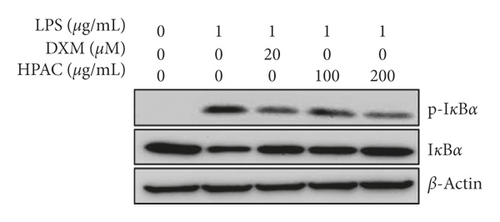 Details are in the caption following the image