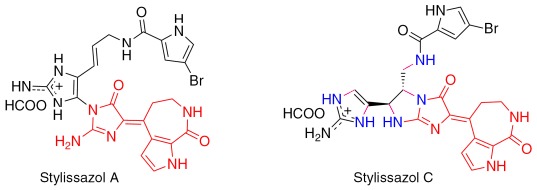 Unprecedented Stylissazoles A–C from Stylissa carteri: Another Dimension for Marine Pyrrole-2-aminoimidazole Metabolite Diversity