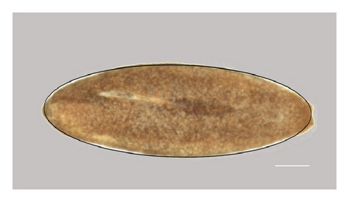 Details are in the caption following the image