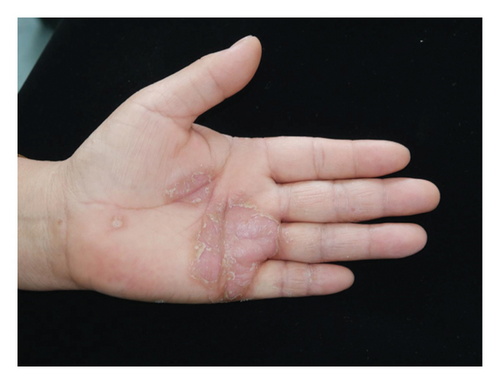 Details are in the caption following the image Details are in the caption following the image