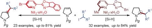 Ligand-Controlled Regiodivergent Hydroalkylation of Pyrrolines
