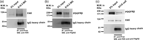 Details are in the caption following the image