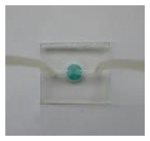 Details are in the caption following the image Details are in the caption following the image