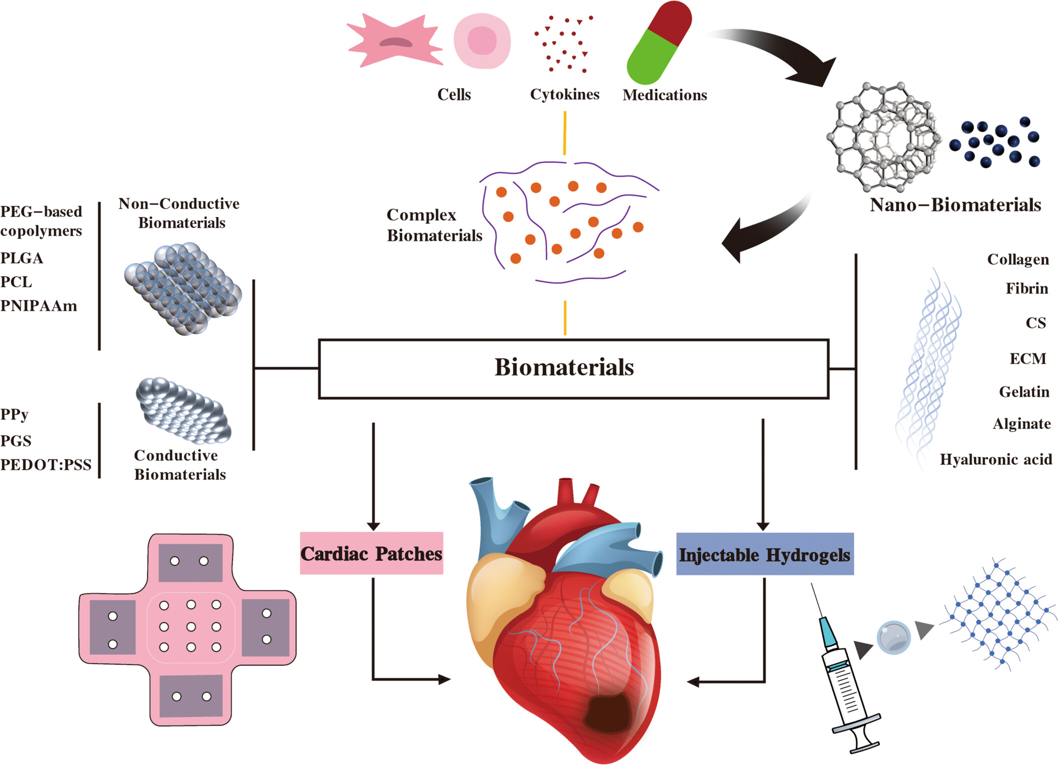 Application of biomaterials in cardiac tissue engineering: Current status and prospects