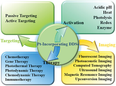 Platinum Drug-Incorporating Polymeric Nanosystems for Precise Cancer Therapy