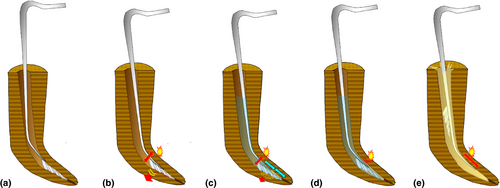 Details are in the caption following the image Details are in the caption following the image