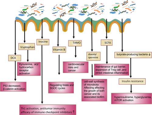 Details are in the caption following the image Details are in the caption following the image
