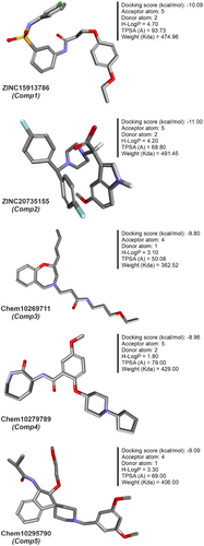 Details are in the caption following the image Details are in the caption following the image