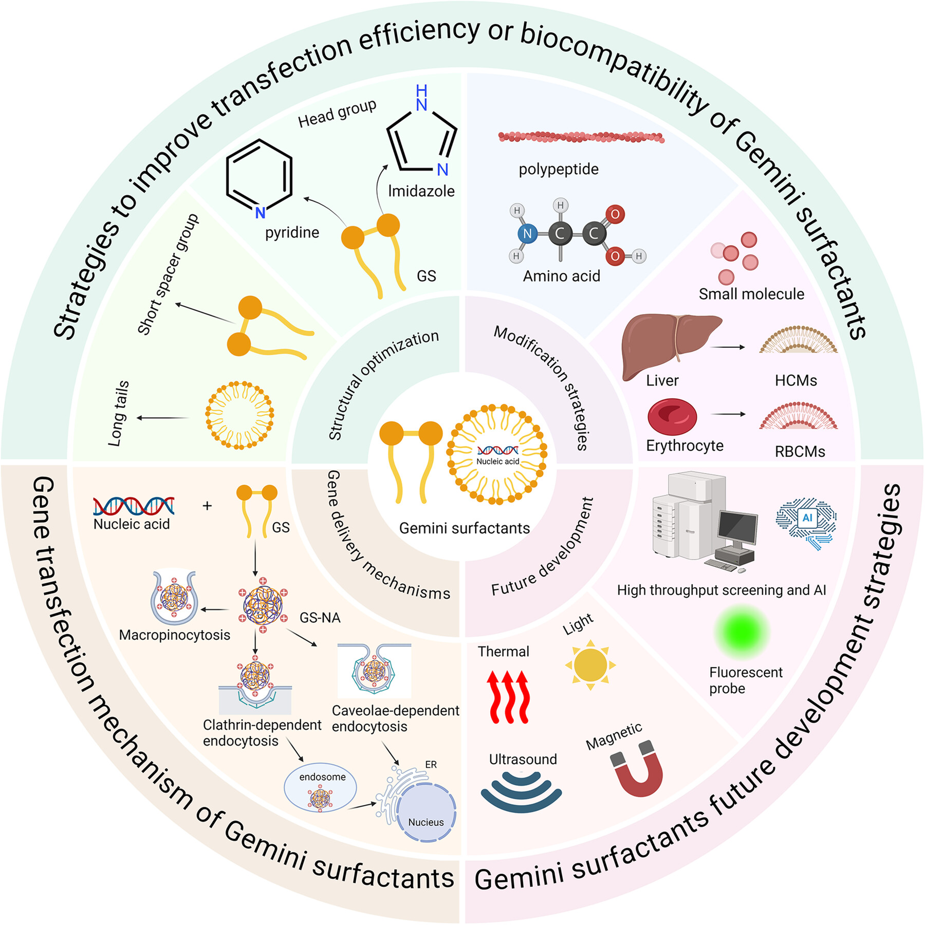 Recent Progress in Gene Delivery Systems Based on Gemini-Surfactant Issue 3, 2025