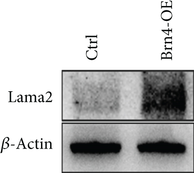 Details are in the caption following the image