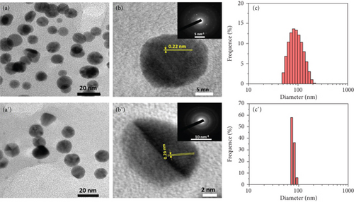 Details are in the caption following the image Details are in the caption following the image