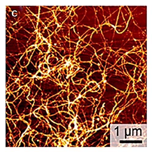 Details are in the caption following the image