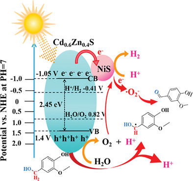 NiS/Cd0.6Zn0.4S Schottky Junction Bifunctional Photocatalyst for Sunlight-Driven Highly Selective Catalytic Oxidation of Vanillyl Alcohol Towards Vanillin Coupled with Hydrogen Evolution Reaction