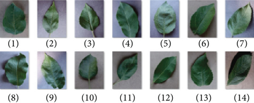 Details are in the caption following the image Details are in the caption following the image