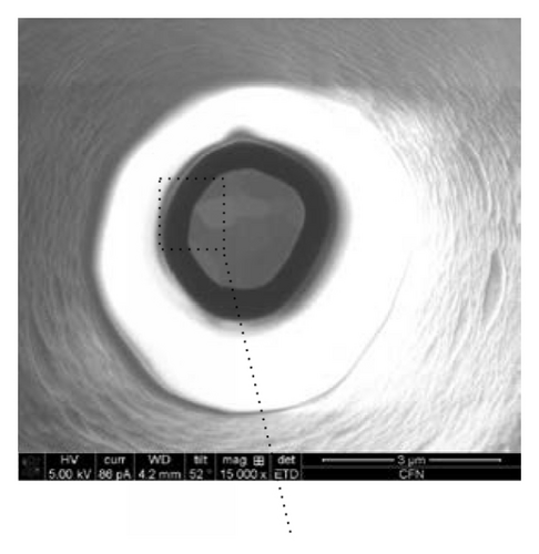Details are in the caption following the image