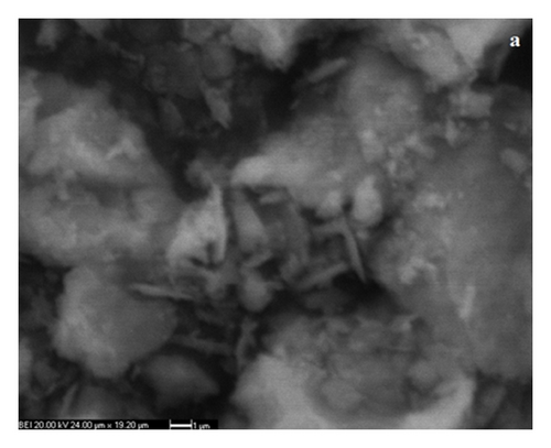 Details are in the caption following the image