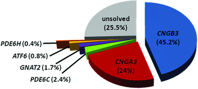 Mutations in the gene PDE6C encoding the catalytic subunit of the cone photoreceptor phosphodiesterase in patients with achromatopsia
