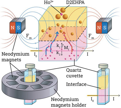 Influence of Magnetic Field on the Kinetics of Ho(III) Solvent Extraction Using D2EHPA: A Comprehensive Study