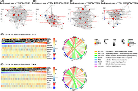Genetic and clinical characterization of B7-H3 (CD276) expression and epigenetic regulation in diffuse brain glioma