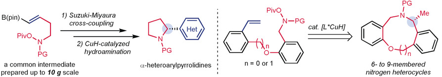 Catalytic Asymmetric Synthesis of α-Arylpyrrolidines and Benzo-fused Nitrogen Heterocycles