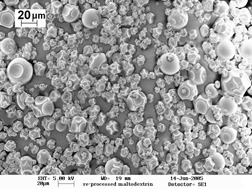 Influence of a Lipid Phase on the Physical Properties of Spray-Dried Maltodextrin Powders