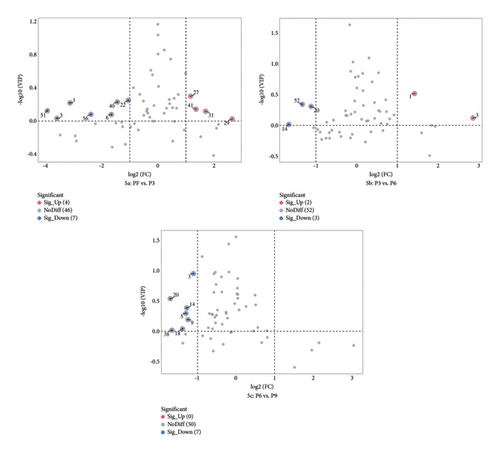 Details are in the caption following the image Details are in the caption following the image