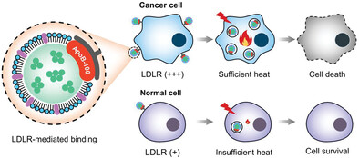 Reconstituting Low-Density Lipoprotein with NIR-Absorbing Organic Photothermal Agents for Targeted Killing of Cancer Cells