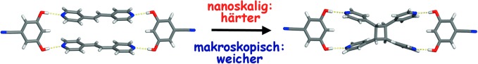Softening and Hardening of Macro- and Nano-Sized Organic Cocrystals in a Single-Crystal Transformation