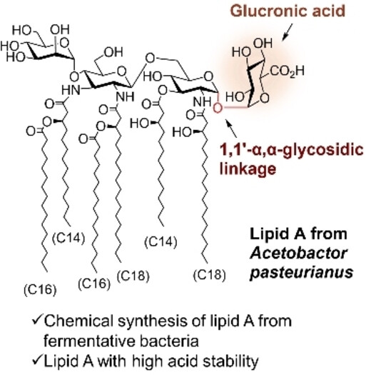 Chemical Synthesis of Acetobacter pasteurianus Lipid A with a Unique Tetrasaccharide Backbone and Evaluation of Its Immunological Functions