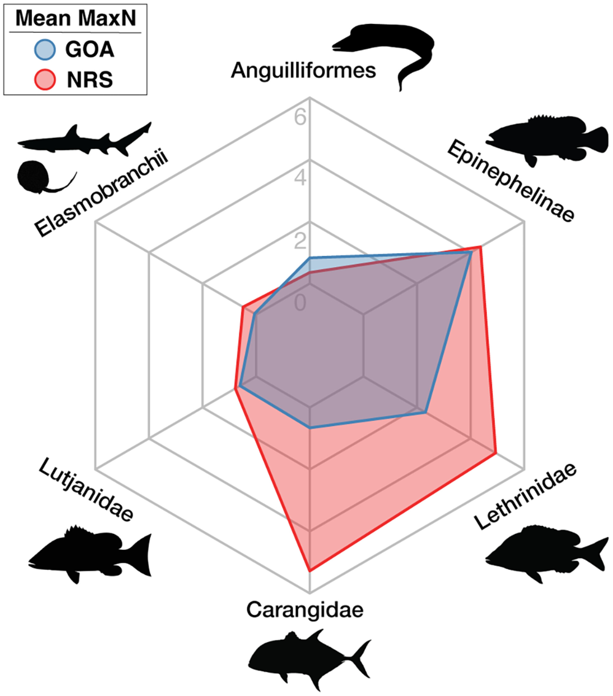 Low diversity and abundance of predatory fishes in a peripheral coral reef ecosystem