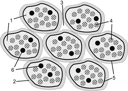 Detection of Microscale Mass-Transport Regimes in Supercritical Fluid Extraction
