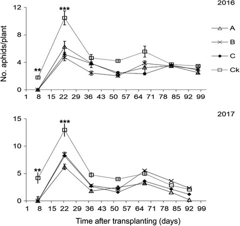 Intercropping oilseed rape as a potential relay crop for enhancing the biological control of green peach aphids and aphid-transmitted virus diseases