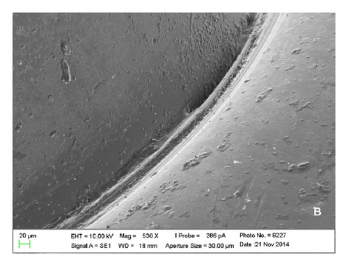 Details are in the caption following the image