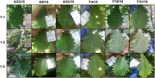 Details are in the caption following the image Details are in the caption following the image