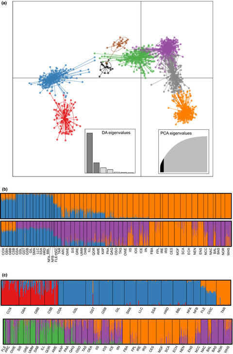 Range-wide genomic data synthesis reveals transatlantic vicariance and secondary contact in Atlantic cod