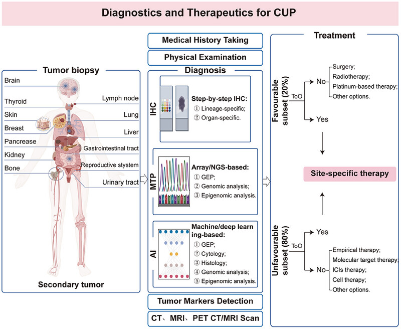 Advancements in Diagnostics and Therapeutics for Cancer of Unknown Primary in the Era of Precision Medicine