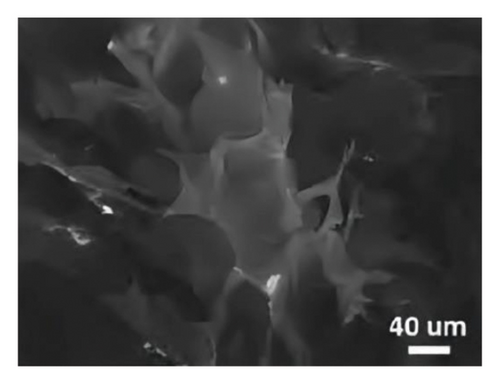 Details are in the caption following the image