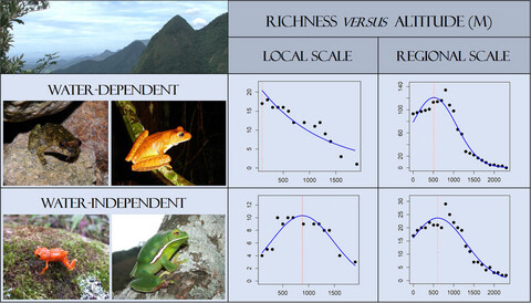Assessing the importance of reproductive modes for the evaluation of altitudinal distribution patterns in tropical frogs